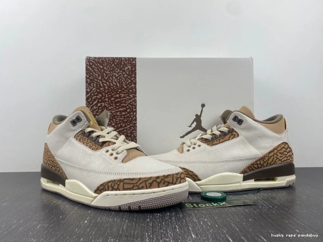 Rep Husky Jordan Palomino Air CT8532-102 3 0729